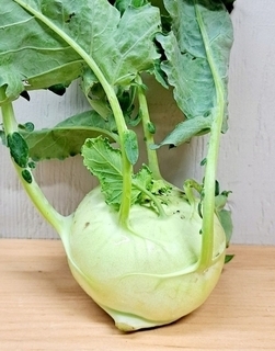 Kohlrabi (LOCAL)