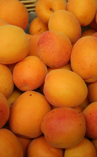 Apricots Loose - LOCAL